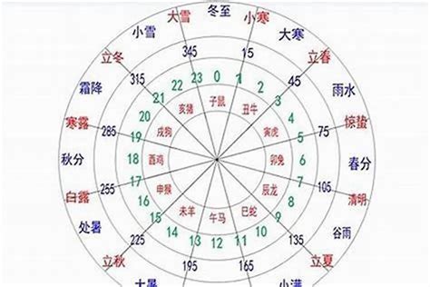 八字木太旺|八字中的五行木该如何理解 八字五行木旺的人忌讳什么